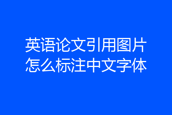 英语论文引用图片怎么标注中文字体