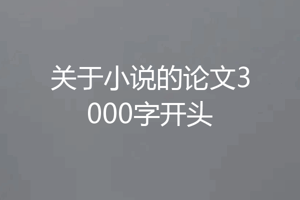 关于小说的论文3000字开头