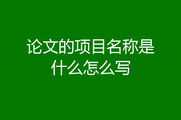 论文的项目名称是什么怎么写
