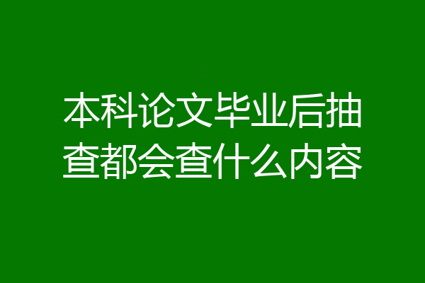 本科论文毕业后抽查都会查什么内容