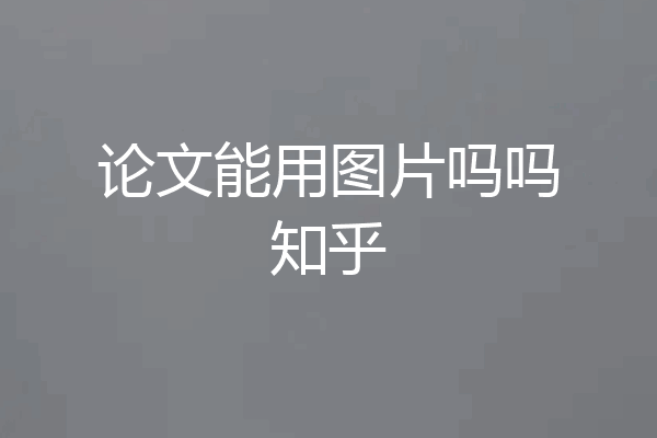 论文能用图片吗吗知乎