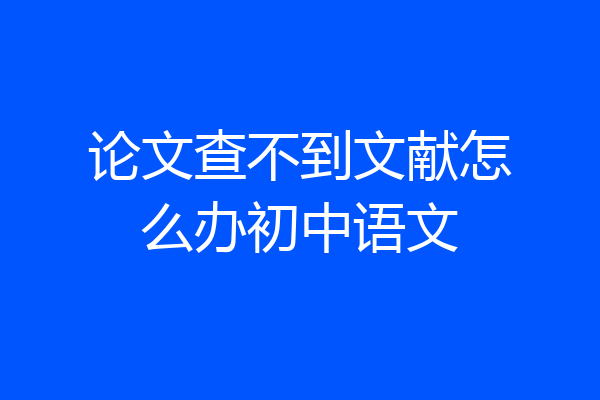 论文查不到文献怎么办初中语文