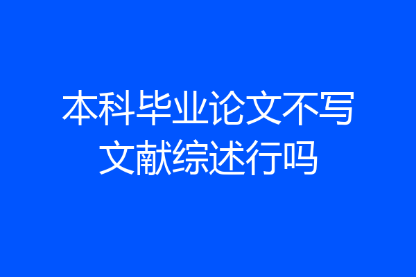 本科毕业论文不写文献综述行吗