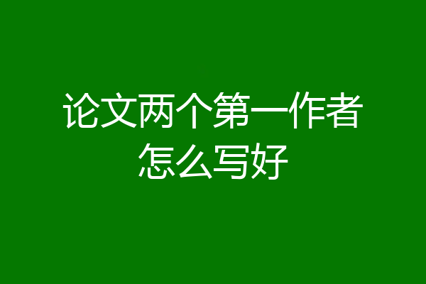 论文两个第一作者怎么写好