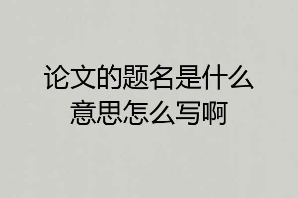 论文的题名是什么意思怎么写啊