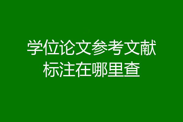 学位论文参考文献标注在哪里查
