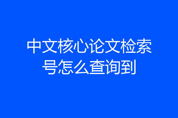 中文核心论文检索号怎么查询到