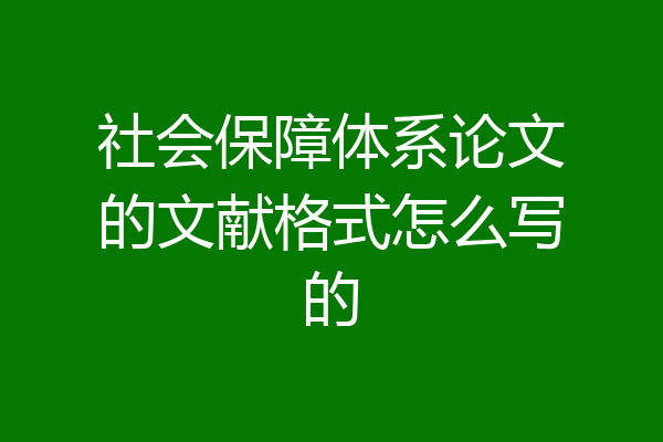社会保障体系论文的文献格式怎么写的