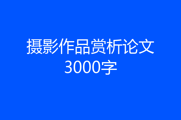 摄影作品赏析论文3000字