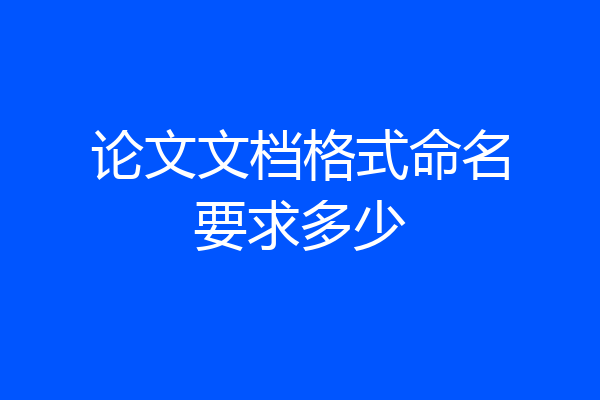 论文文档格式命名要求多少