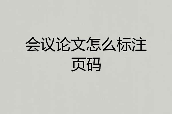 会议论文怎么标注页码