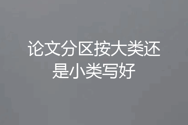 论文分区按大类还是小类写好