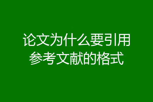 论文为什么要引用参考文献的格式
