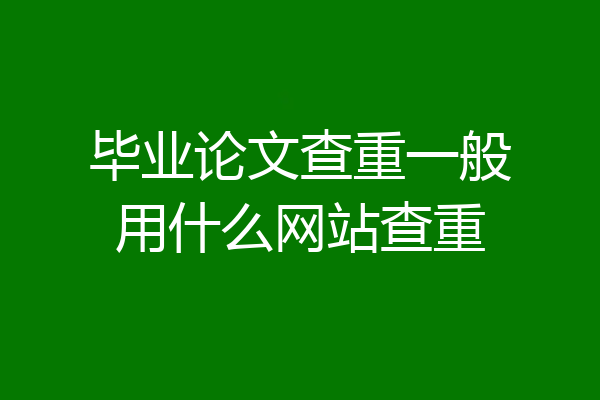 毕业论文查重一般用什么网站查重