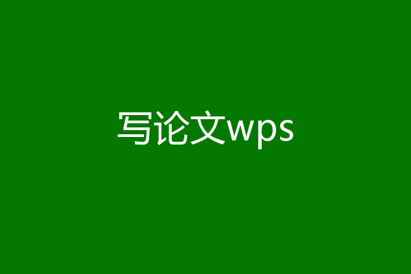 写论文wps