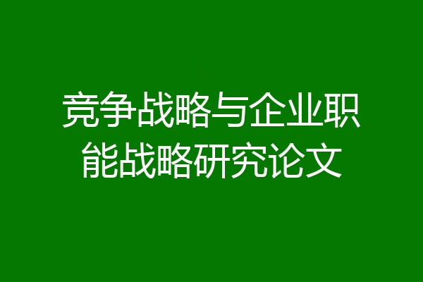 竞争战略与企业职能战略研究论文
