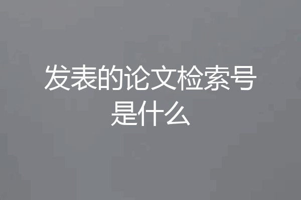 发表的论文检索号是什么