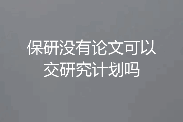 保研没有论文可以交研究计划吗