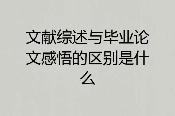 文献综述与毕业论文感悟的区别是什么