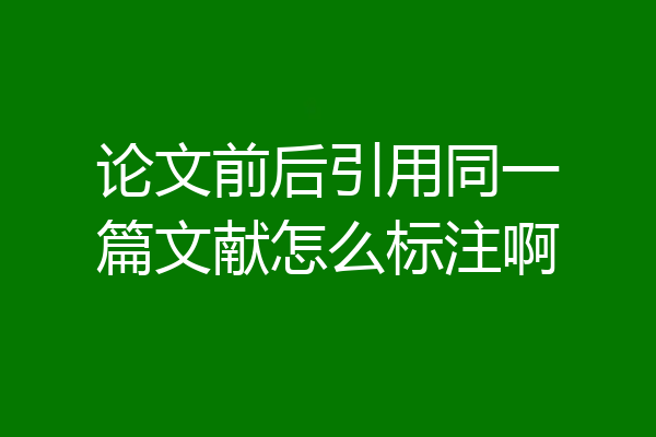 论文前后引用同一篇文献怎么标注啊