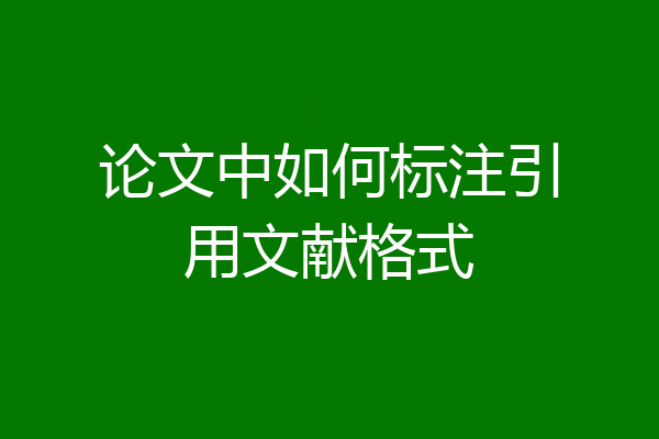 论文中如何标注引用文献格式