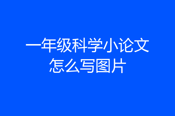 一年级科学小论文怎么写图片