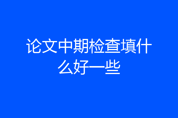 论文中期检查填什么好一些