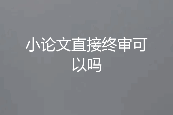 小论文直接终审可以吗