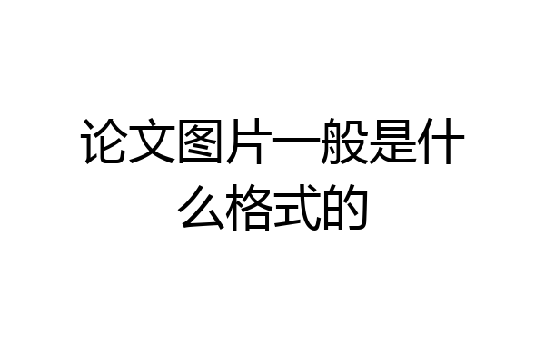 论文图片一般是什么格式的