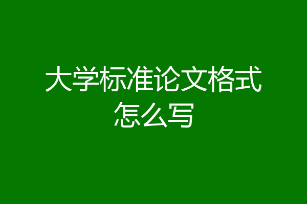 大学标准论文格式怎么写