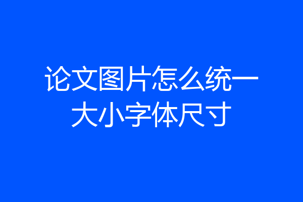 论文图片怎么统一大小字体尺寸