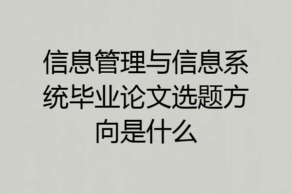 信息管理与信息系统毕业论文选题方向是什么
