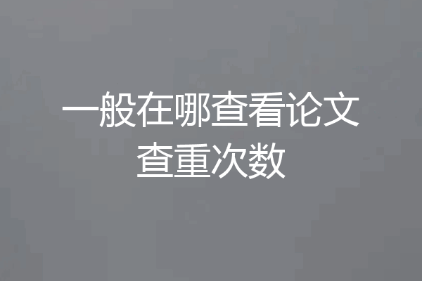 一般在哪查看论文查重次数