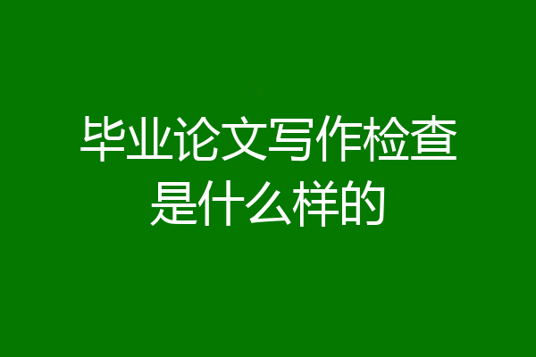 毕业论文写作检查是什么样的