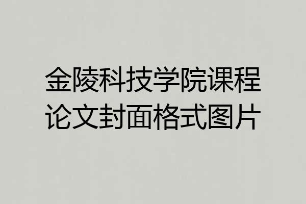 金陵科技学院课程论文封面格式图片