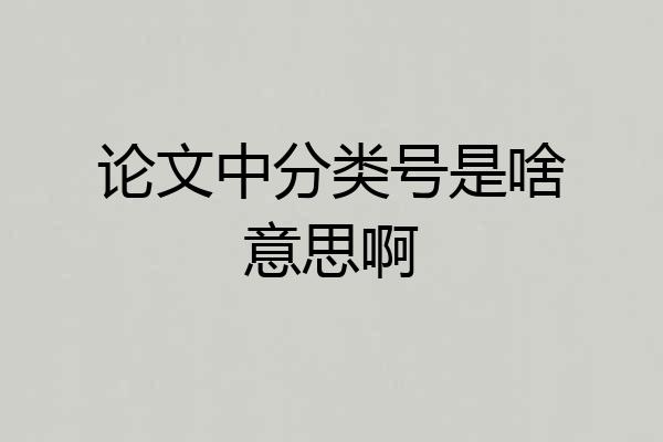 论文中分类号是啥意思啊