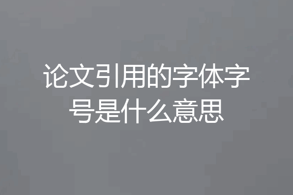 论文引用的字体字号是什么意思