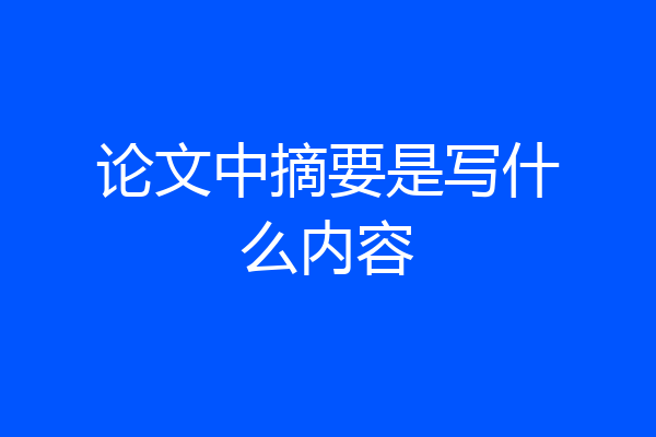 论文中摘要是写什么内容