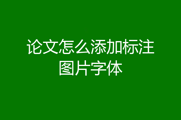 论文怎么添加标注图片字体