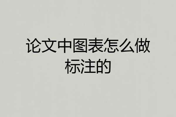 论文中图表怎么做标注的