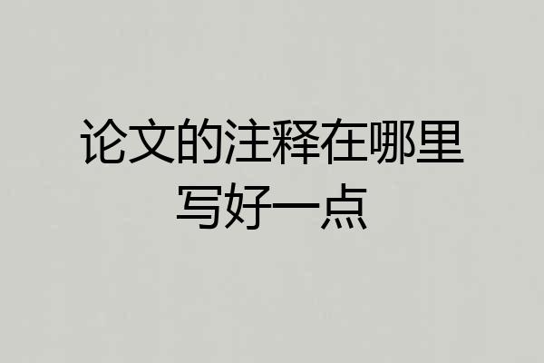 论文的注释在哪里写好一点