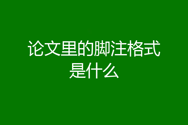 论文里的脚注格式是什么