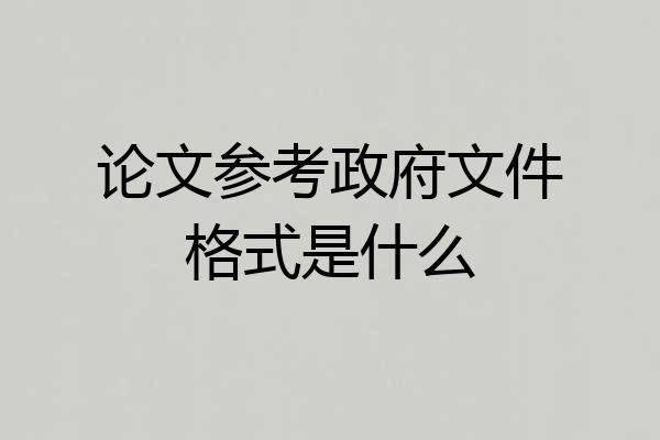 论文参考政府文件格式是什么