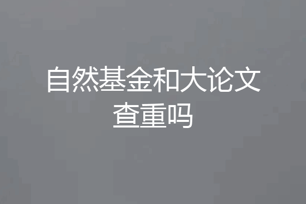 自然基金和大论文查重吗