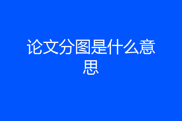 论文分图是什么意思