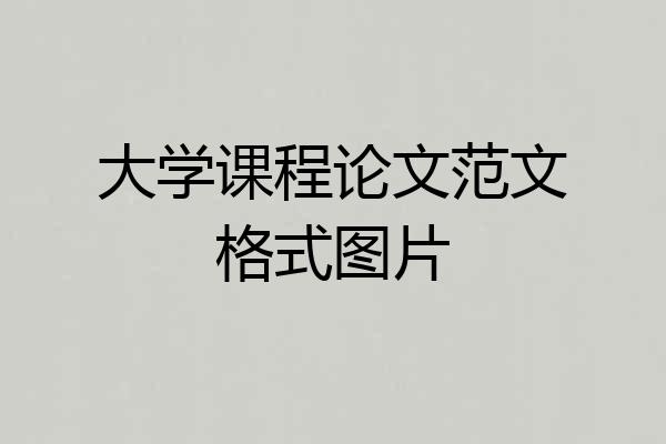 大学课程论文范文格式图片