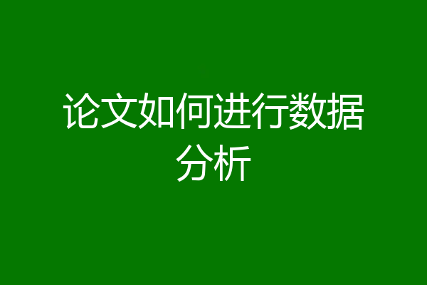 论文如何进行数据分析