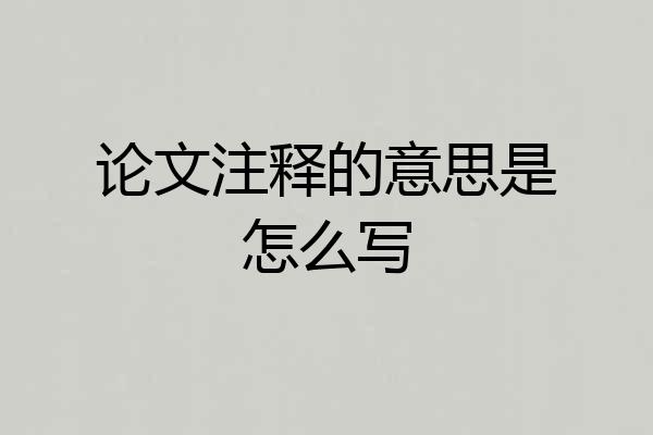 论文注释的意思是怎么写