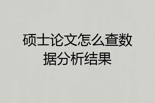 硕士论文怎么查数据分析结果