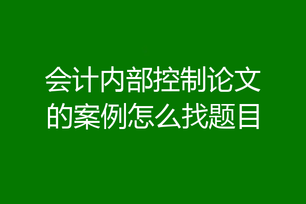 会计内部控制论文的案例怎么找题目